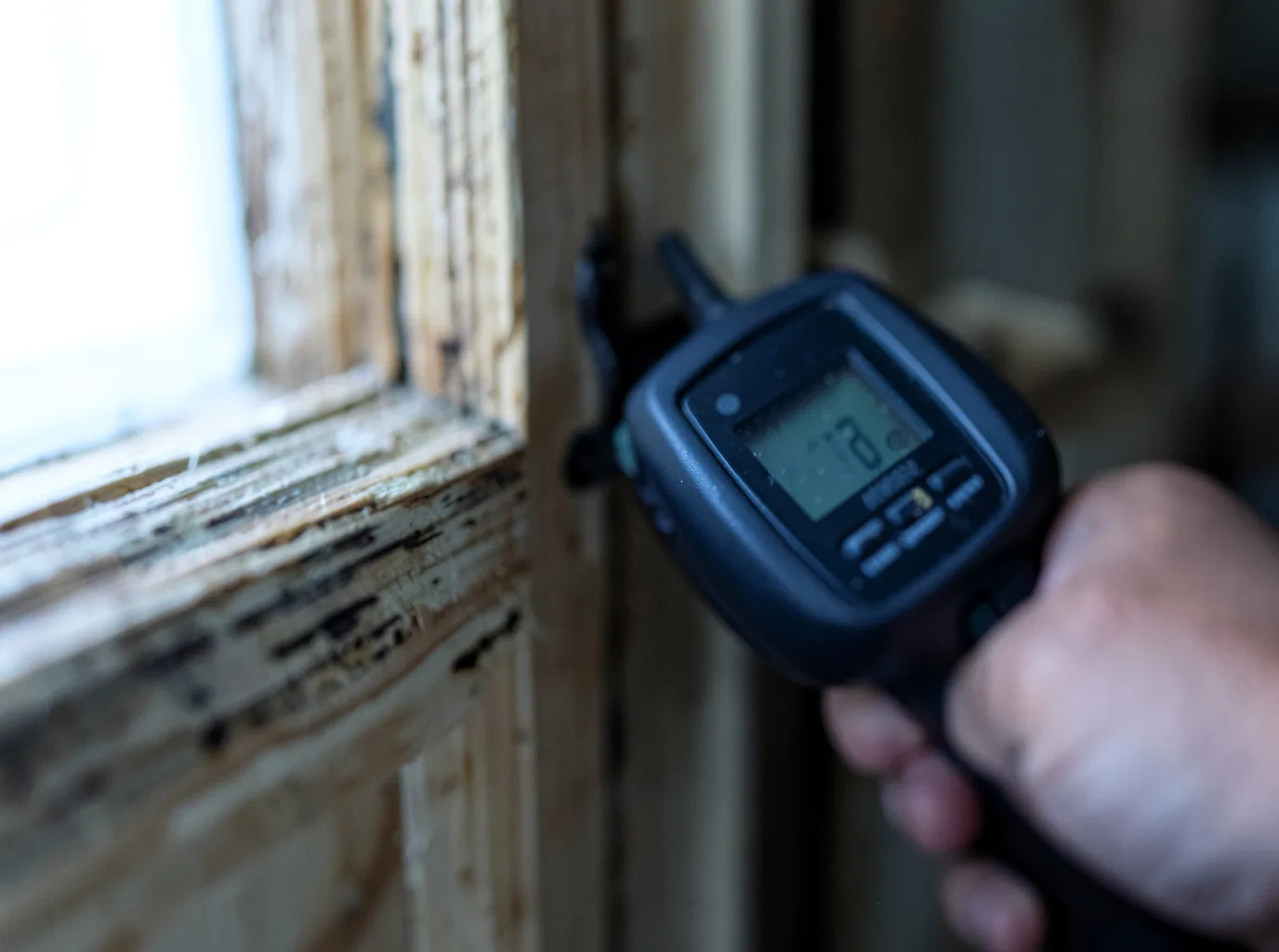 Commercial Water Damage Restoration in Mount Storm, WV